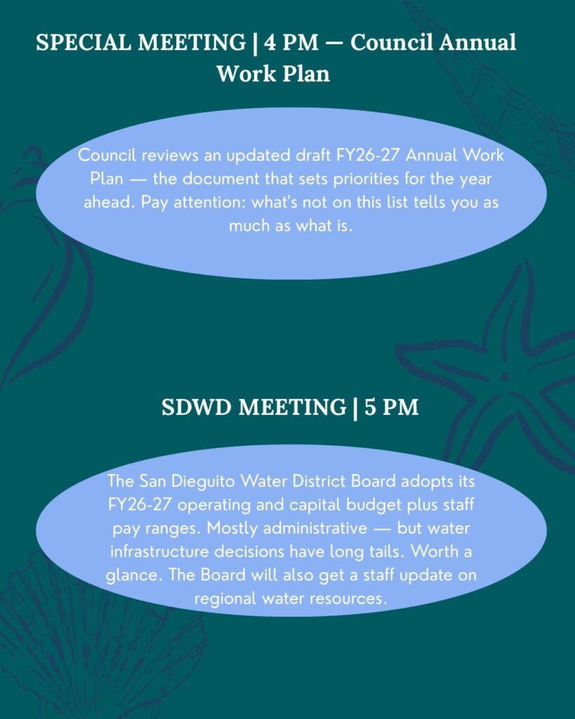 encinitas city council